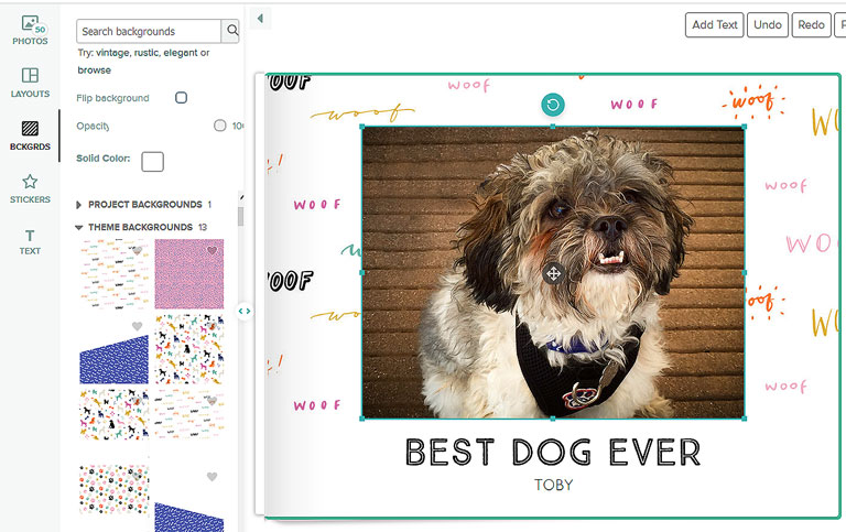 With Mixbook you can change the theme of your dog photo book at any time