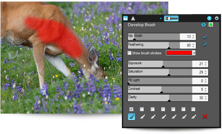 Acdsee non-destructive brush on edits is one of its best tools