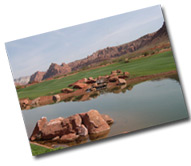 Create digital photo albums  online