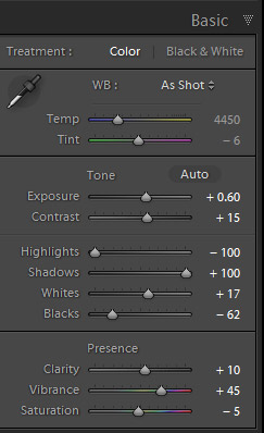 Lightroom basics Panel - sliders