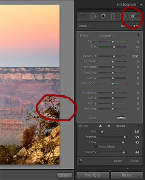 You can use the local adjustment brush to dodge or burn, adjust tone or apply local sharpening and more